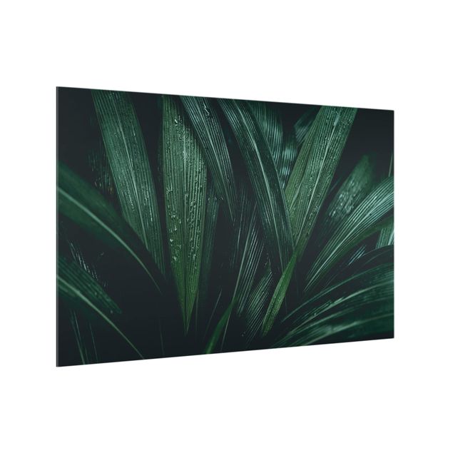 Glass splashbacks Green Palm Leaves