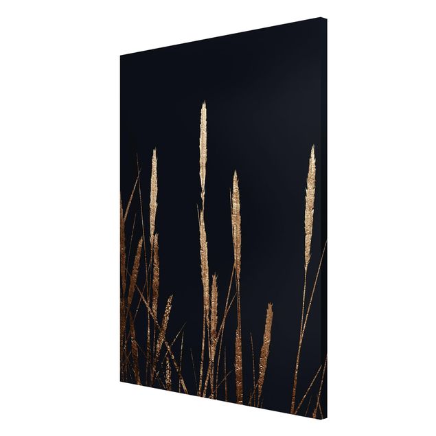 Magnet boards flower Graphical Plant World - Golden Reed