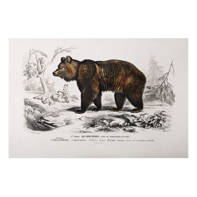 Bear wall art Vintage Board Brown Bear