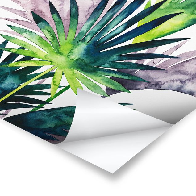 Prints Exotic Foliage - Fan Palm