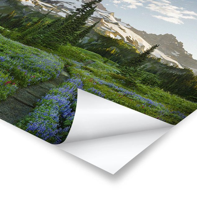 Prints flower Mountain View Meadow Path
