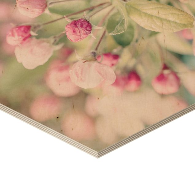 Prints on wood Apple Blossom Pink Bokeh