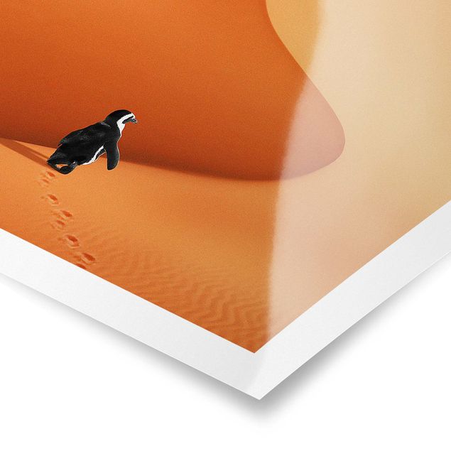 Orange art print Desert With Penguin
