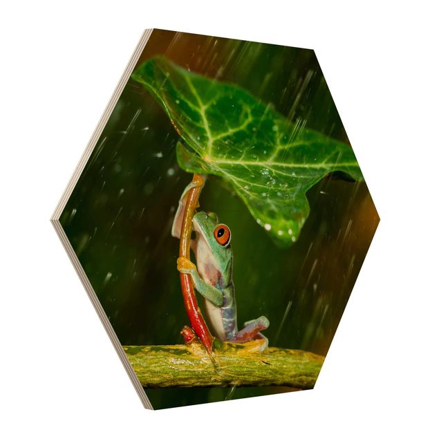 Wood photo prints Frog In The Rain