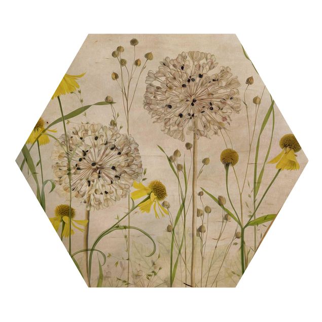 Prints on wood Allium And Helenium Illustration