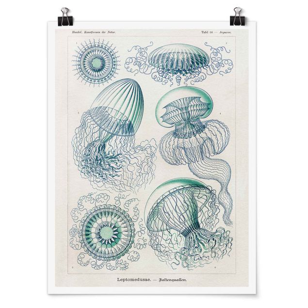 Retro prints Vintage Board Jellyfish In Blue