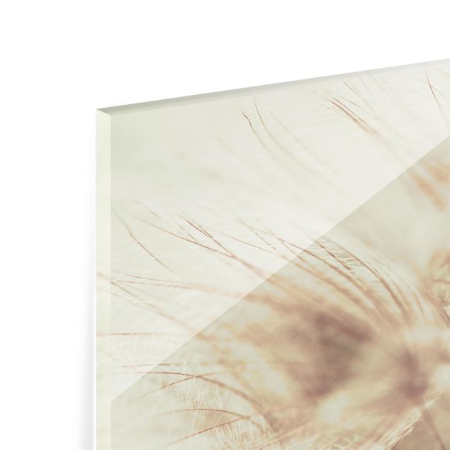 Glass Splashback - Detailed Dandelion Macro Shot With Vintage Blur Effect - Landscape 2:3