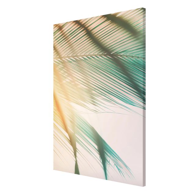 Magnet boards flower Tropical Plants Palm Trees At Sunset II