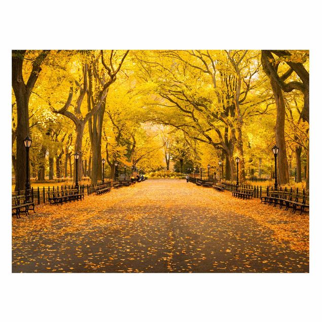 New York wall art Autumn In Central Park