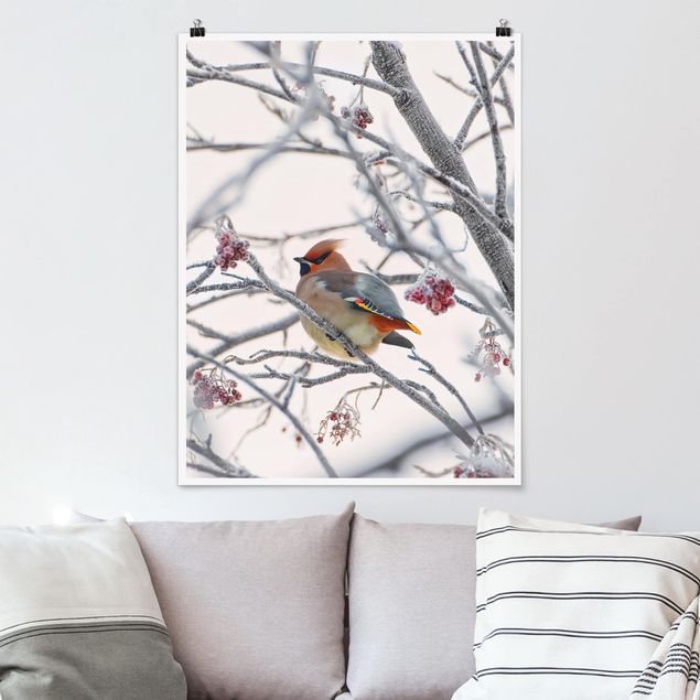 Kitchen Waxwing on a Tree