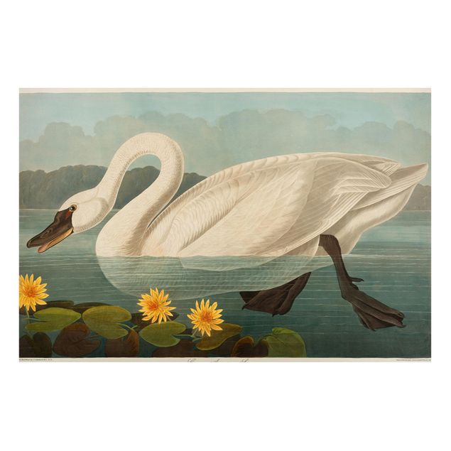 Magnet boards flower Vintage Board American Swan