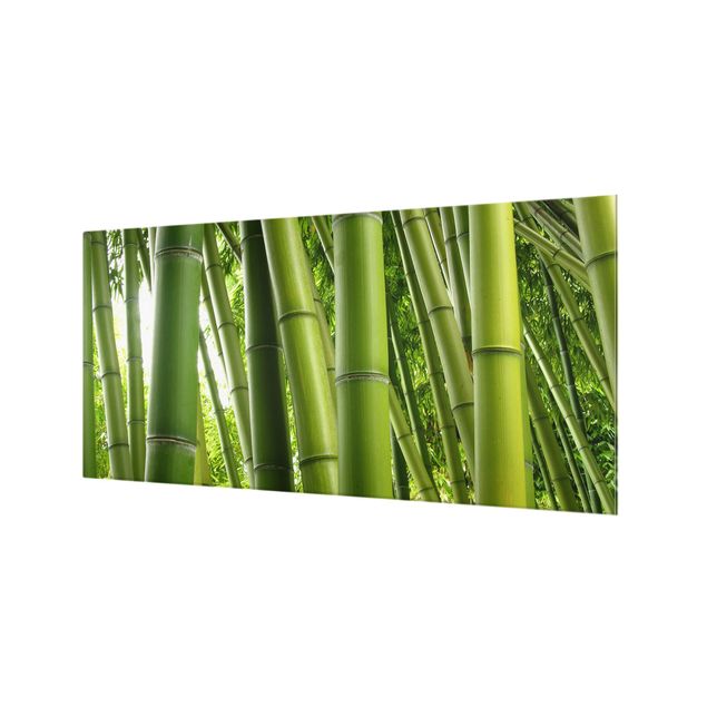 Glass Splashback - Bamboo Trees - Landscape 1:2