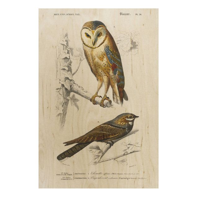 Vintage wood prints Vintage Board Owl And Swallow