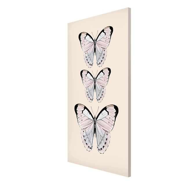 Magnet boards animals Butterfly On Beige