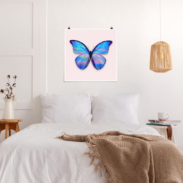 Kitchen Holographic Butterfly