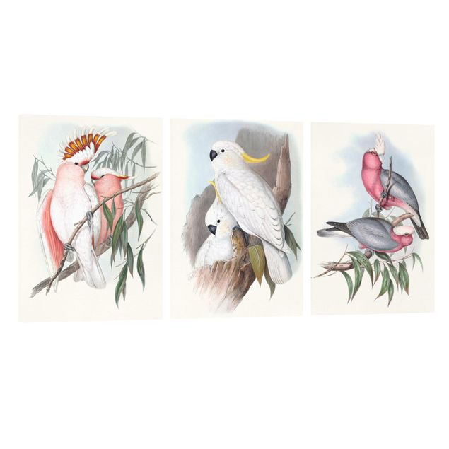 Prints animals Pastel Parrots Set I