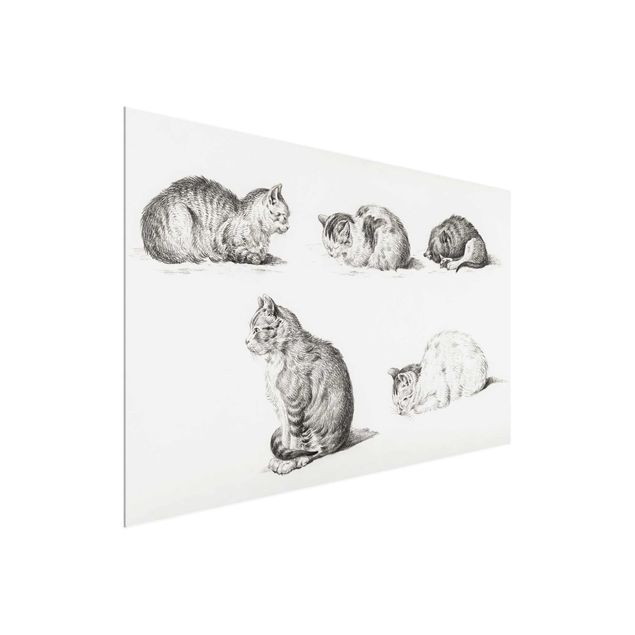 Glass prints pieces Vintage Drawing Cat I