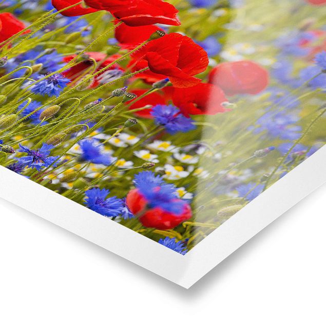 Red canvas wall art Summer Meadow With Poppies And Cornflowers