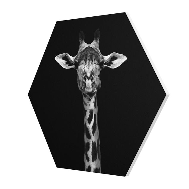 Forex photo prints Dark Giraffe Portrait