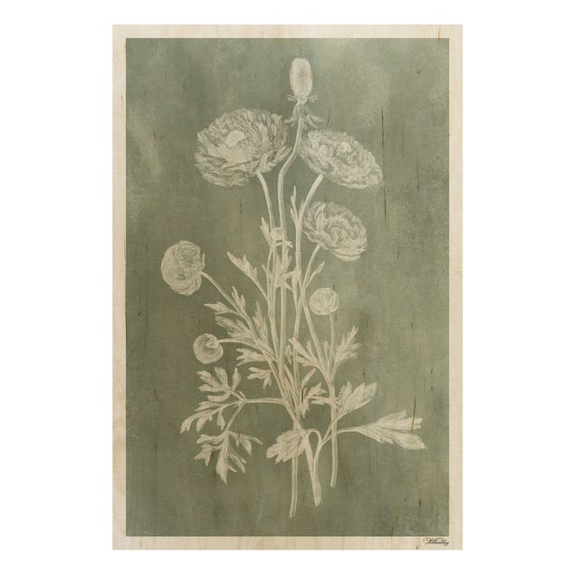 Wood prints flower Vintage Illustration Sage