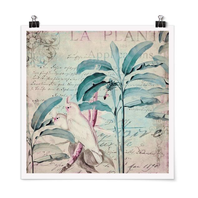 Prints vintage Colonial Style Collage - Cockatoos And Palm Trees