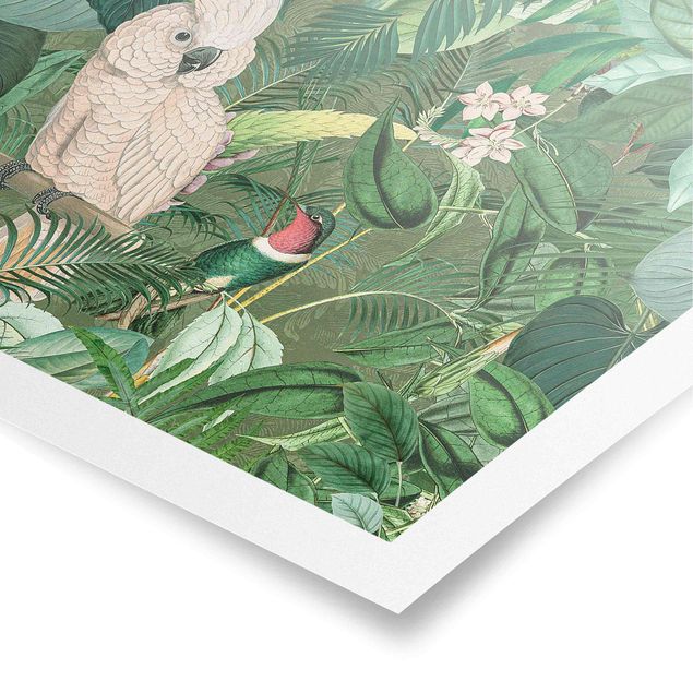 Green art prints Vintage Collage - Kakadu And Hummingbird
