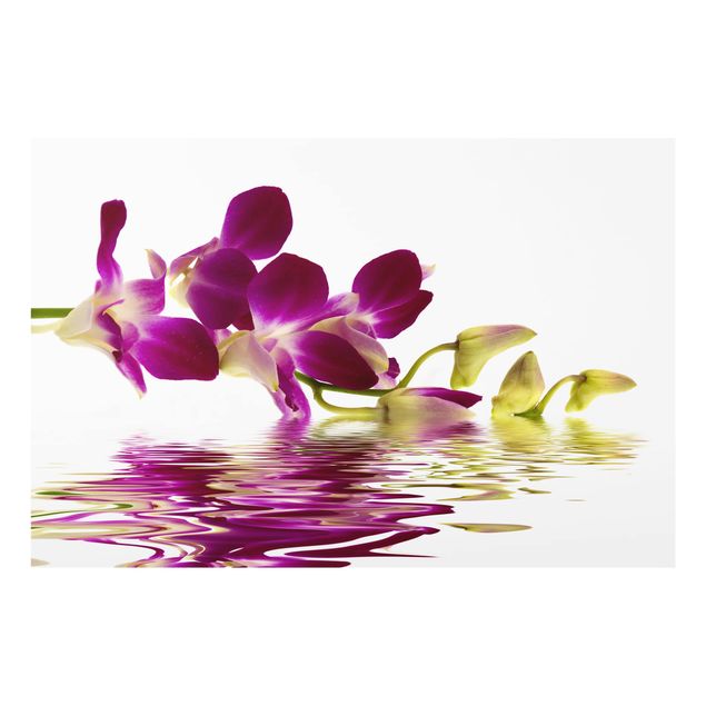 Glass Splashback - Pink Orchid Waters - Landscape 2:3