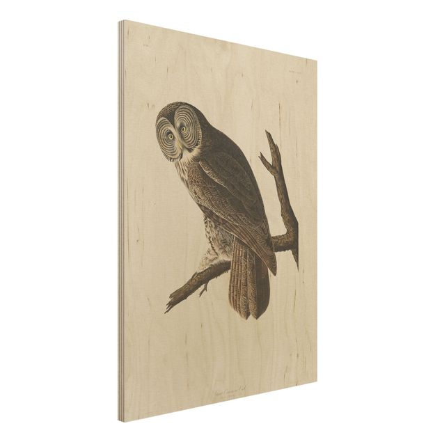 Kitchen Vintage Board Great Owl