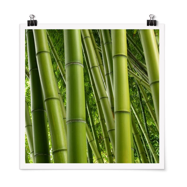 Trees on canvas Bamboo Trees