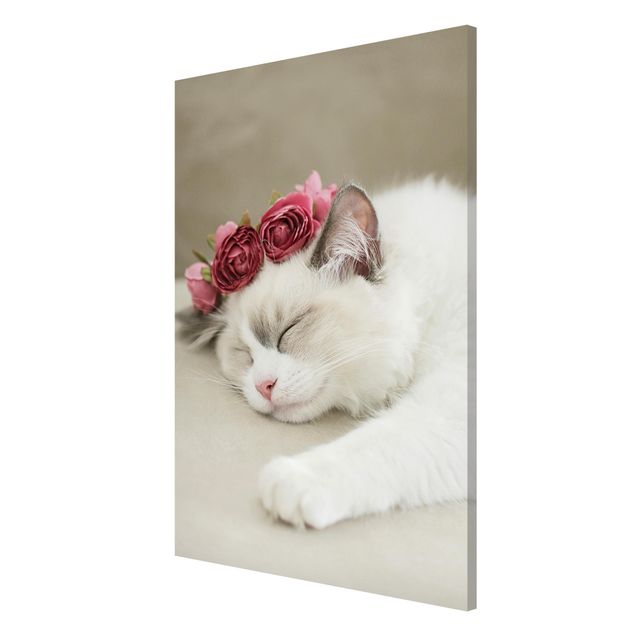 Magnet boards flower Sleeping Cat with Roses