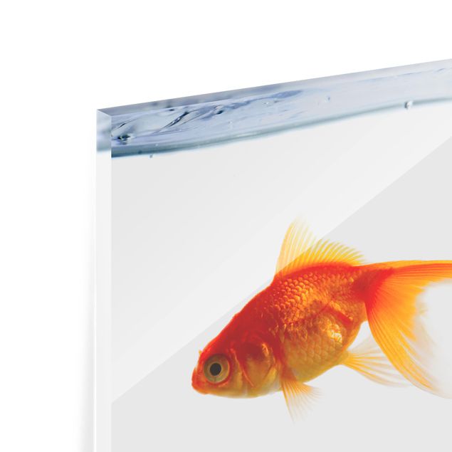 Art print Goldfish