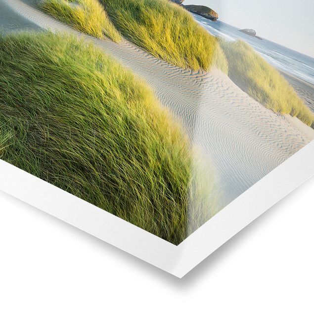 Sea print Dunes And Grasses At The Sea