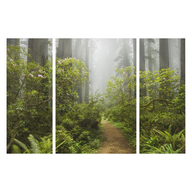 Landscape canvas wall art Misty Forest Path