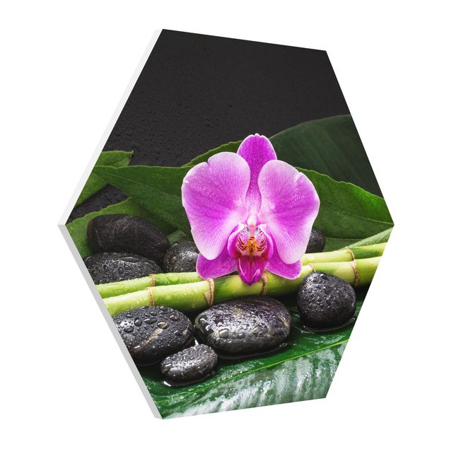 Art posters Green Bamboo With Orchid Blossom