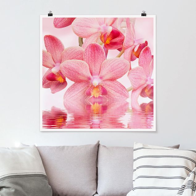 Orchid wall art Light Pink Orchid On Water