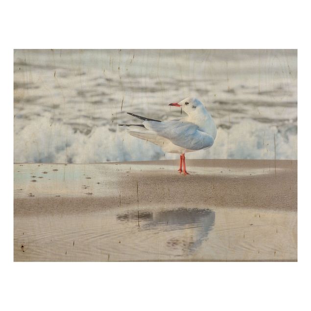 Wood prints landscape Seagull On The Beach In Front Of The Sea