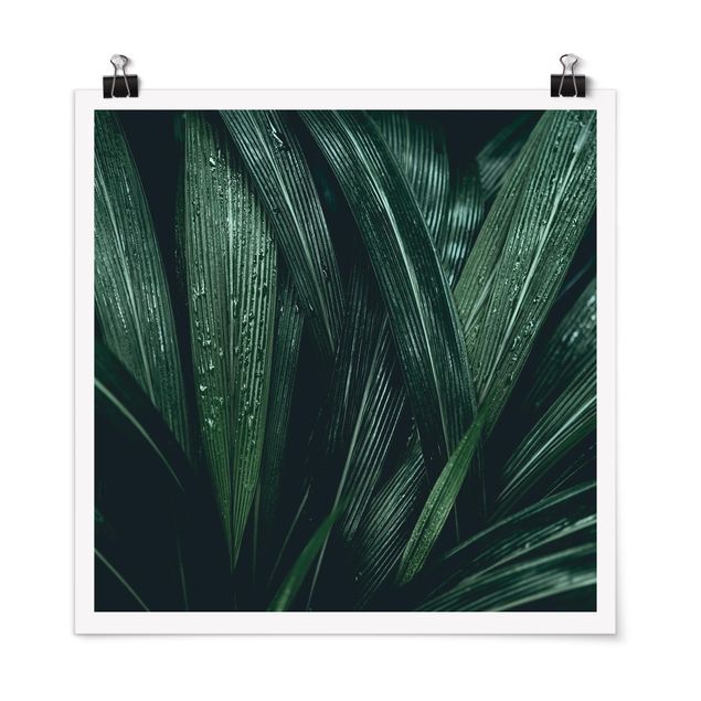 Prints flower Green Palm Leaves