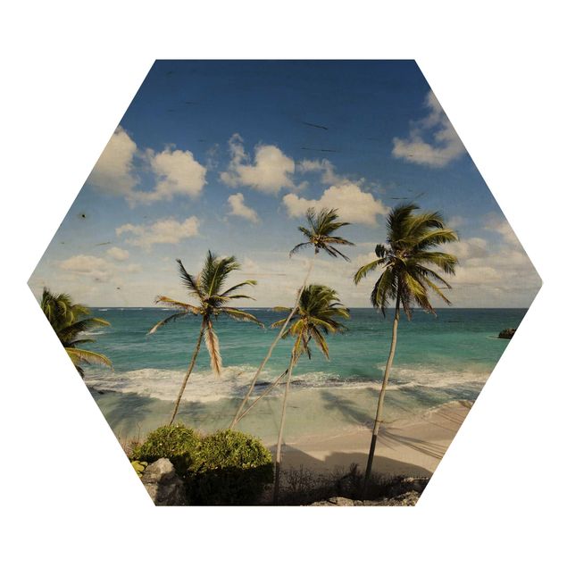 Prints Beach Of Barbados