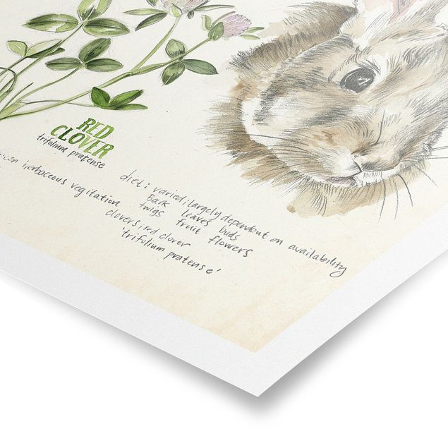 Prints brown Wilderness Journal - Rabbit