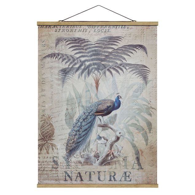 Animal wall art Shabby Chic Collage - Peacock