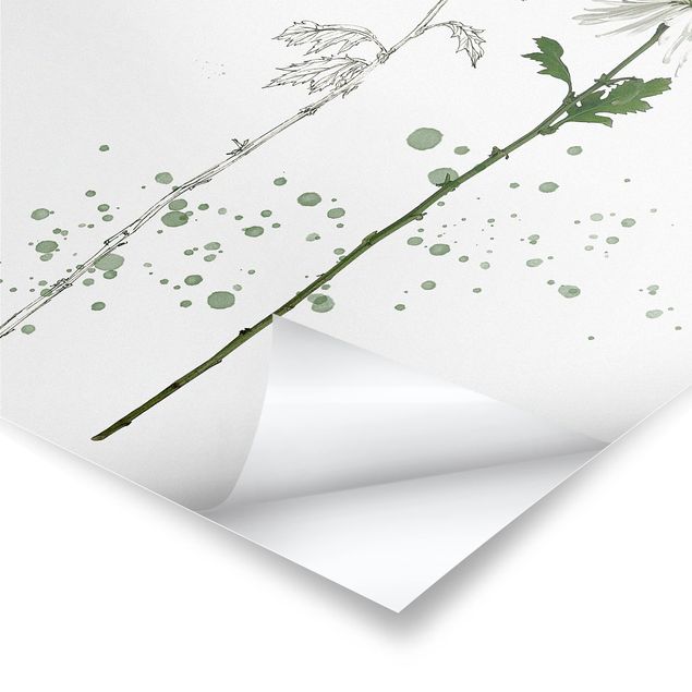 Prints Botanical Watercolour - Dandelion