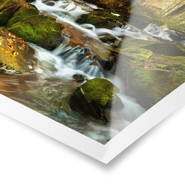 Posters landscape Waterfall Autumnal Forest