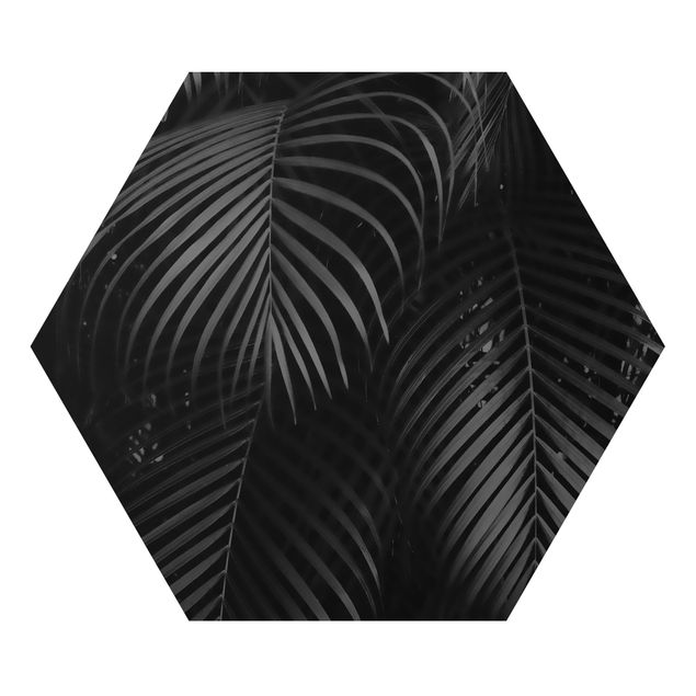 Black prints Black Palm Fronds