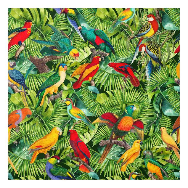 Glass splashback animals Colourful Collage - Parrots In The Jungle