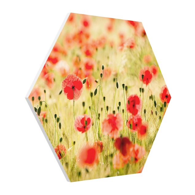 Floral prints Summer Poppies