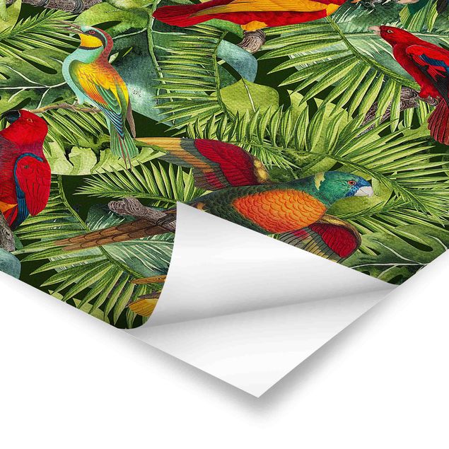 Andrea Haase Colourful Collage - Parrots In The Jungle