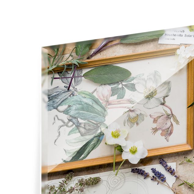 Glass Splashback - Flowers And Garden Herbs Vintage - Landscape 1:2