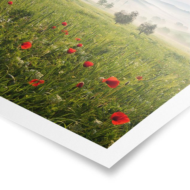 Poppy print Tuscan Spring