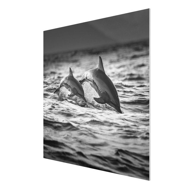 Animal canvas Two Jumping Dolphins