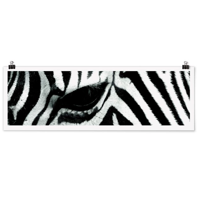 Posters black and white Zebra Crossing